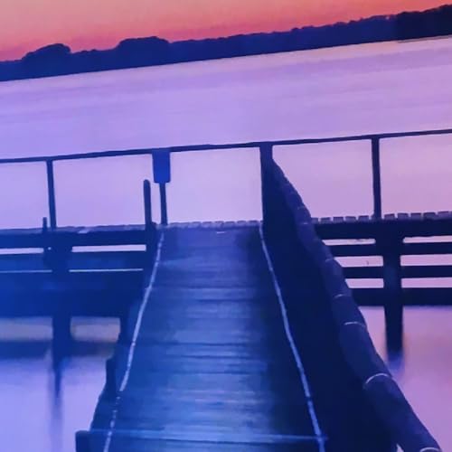 Live your life to the fullest cover art