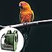 Gralara Compact Carrier for Birds with Clear View and Travel Features, Green