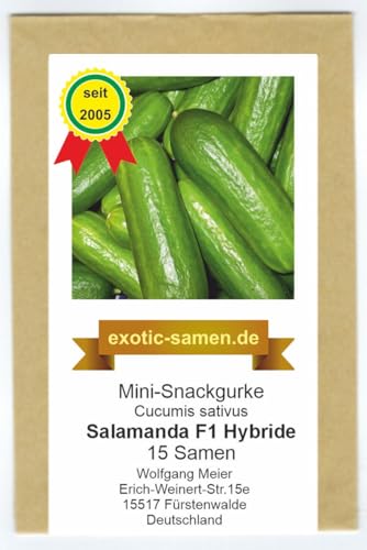 Mini-Snackgurke – Salamanda F1 – 12 cm lang – auch im Kübel – 15 Samen