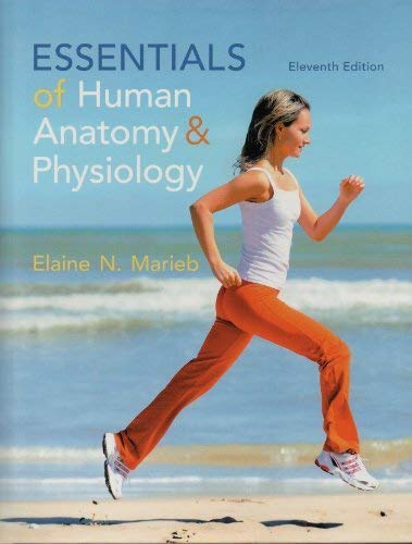 Essentials of Human Anatomy & Physiology