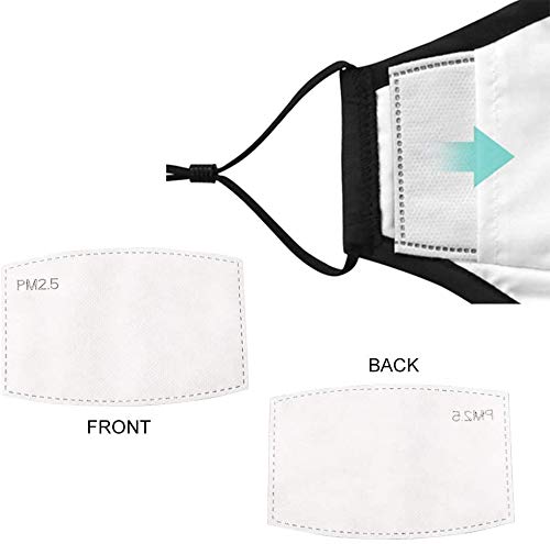 20Pack Pm 2.5 Activated Carbon Filter Insert Ship From Usa #TOP6