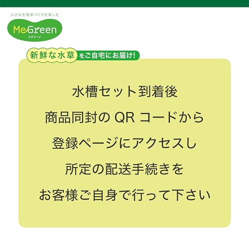 ジェックス MeGreen 新鮮な水草付き グラスアクアティアーセット の商品画像 4