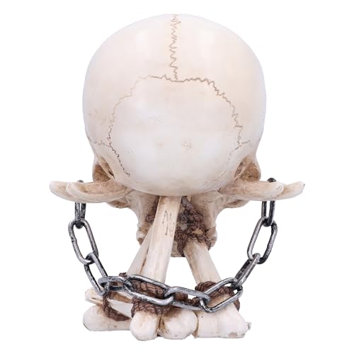 Nemesis Now Horror Skull Ornament, Resin, Natural Bone and Silver Chain, 14.5cm - Image 4