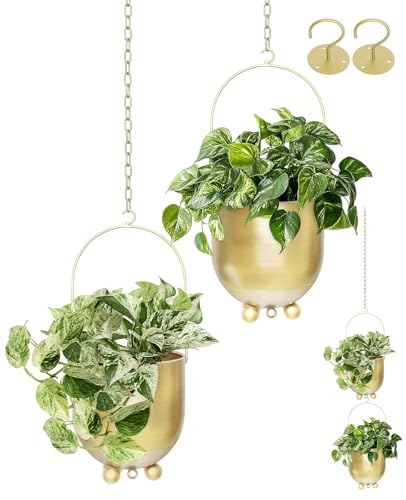 Pots de fleurs pour mur et plafond de 16 cm : le set de suspensions AceList - 2