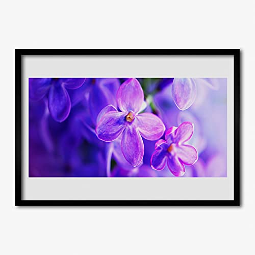 Affiche avec cadre salon et chambre 70x50 cm photo fleurs nature violette décoration murale