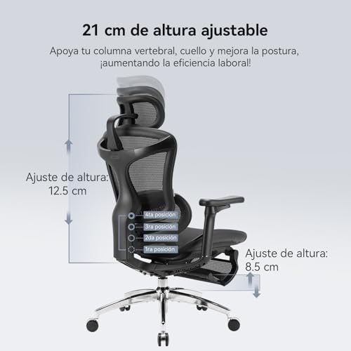 Image of SIHOO Ergonomic Office Chair Dynamic Lumbar Support, 3D Armrests Adjustable Backrest, Footrest for Optimal Comfort, Home Desk Chair, Doro C300, Black(150kg)