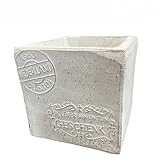 シャルカ テラコッタ ＳＪヘンボス Ｌ ホワイト