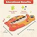 B. toys – Meowsic – Interactive Cat Piano – Toy Piano & Microphone – Musical Instrument For Toddlers, Kids – 20+ Songs, Sounds & Recording Feature – 2+ Years