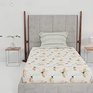 Trident Dusk & Dawn Queen Sheet Set, 100% Cotton Bed Sheets, 2-Piece Set, 1 Bedsheet and 1 Pillowcase, Soft & Smooth 144 Thread Count (Single) - Sia Beige