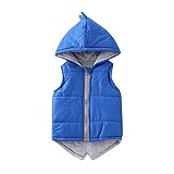 1 - 6 Years Toddler Kids 3D Dinosaur Hooded Jacket Baby Girls Boys Dinosaur Hooded Jacket Winter Coa