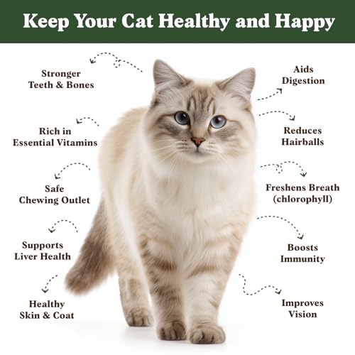 Seedboy-Organic-Cat-Grass-Seeds-for-Planting-Non-GMO-Wheat-Oat-Rye-and-Barley-Pet-Grass-Seeds-for-Indoor-Cats