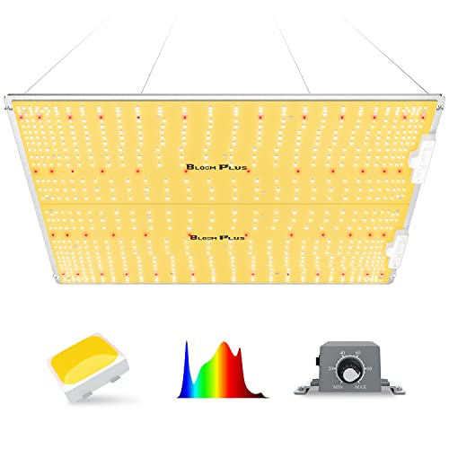 Sexing Marijuana Plants Cannabis Gender and Reproduction Guide
