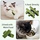 Katzengras Snack, 30g Gefriergetrocknet Snacks für Katzen für die Zahnpflege und Haarknäuel Entfernen, Katzenminze