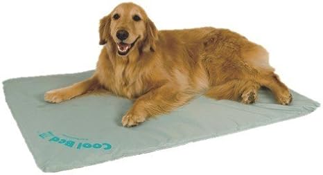 dog water bed