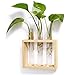 Mkono Wall Hanging Plant Propagation Glass Planter Station 3 Tubes with Wood Stand Flower Vase Desktop Terrarium for Propagating Hydroponic Cutting Plants, Home Office Decoration, Beige