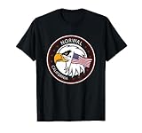America eagle design mb.