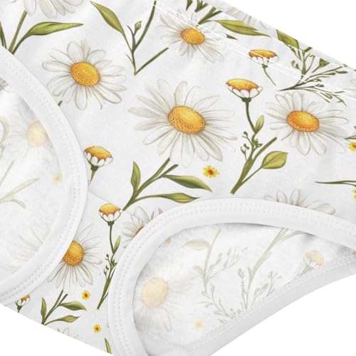 ZZKKO Summer Daisies Floral Girls Underwear Toddler Panties for Girls Comfort Brief Size 2-8T3