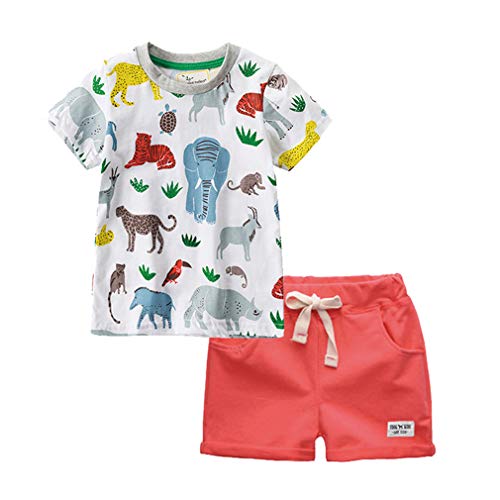 Image of Little Boys Shorts Set Toddler Boys 100% Cotton Summer Short Sleeve T-Shirts and Shorts Clothing Sets 2PCS