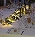 Dailyart 6feet 120 LED Starry Lights, Battery Operated Waterproof Dark Green Copper Wire Fairy Light String Light for Garland, Wreath, Patio, Garden, Wedding, Party, Xmas
