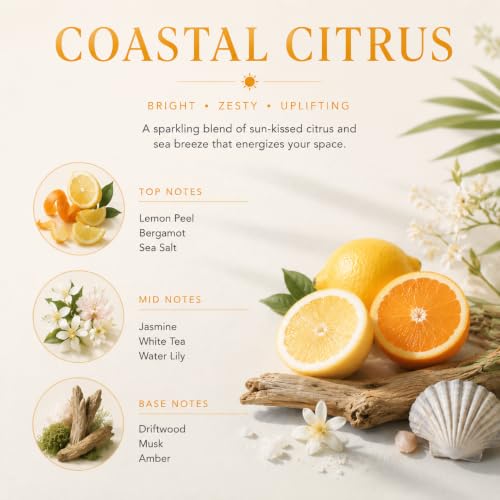 Image of Airkeep Reed Diffuser Set,3.38 fl oz (100 ml) - Coastal Citrus Oil Diffusers with 8 Reed Sticks, Home Fragrance Reed Diffuser for Bathroom Shelf Decor
