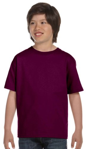 Gildan Dryblend Youth Tee (Maroon) (L)