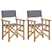 Produktbild vidaXL 2X Akazienholz Massiv Regiestuhl Gartenstuhl Holzstuhl Klappstuhl Campingstuhl Stuhl Gartenmöbel Faltstuhl Sessel Regiestühle