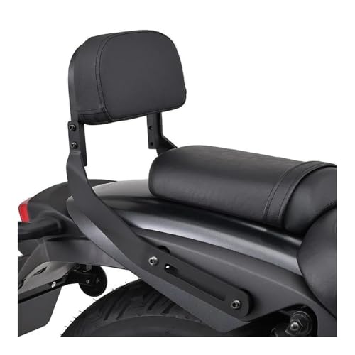 Coussin de dossier passager arrière ergonomique et support moto SE 2024 - 3