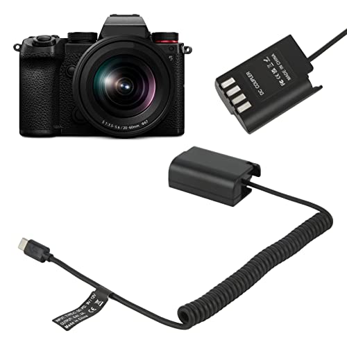 Panasonic LUMIX S5　純正予備バッテリー　マウントアダプター付 Panasonic LUMIX S5 純正予備バッテリー マウントアダプター付