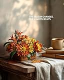 Zoom IMG-1 nifeliz set per la costruzione Zoom IMG-1 nifeliz set per la costruzione