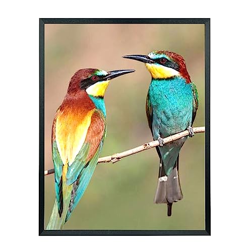 Mxtallup 19x24 Picture Frame Solid Wood Poster Frame for Wall 19x24 Photo Frames Family Black (T22B1924)