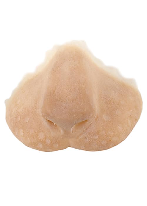 Struts Lion Animal Snout Latex Prosthetic Nose 307 Make-Up