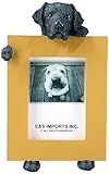 Black Labrador Retriever 2.5' x 3.5' Dog Photo Frame