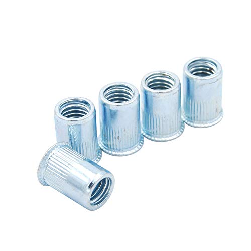 100pcs Rivet Nut Nutsert Threaded Steel Zinc Plated Reduce Head Knurled Body M3 M4 M5 M6 M8 M10 M12 (M8)