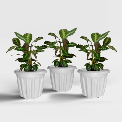 Image of YUCCABE ITALIA SHERA Floot 12 Inch Plastic Flower Pot 3 Piece Set of Round Shape Planter for Home Garden Seedling Planter for pots (White)
