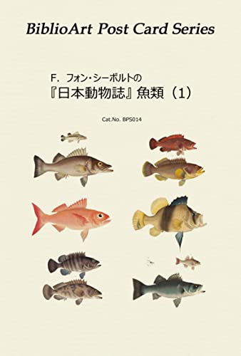 全集 日本動物誌 全巻／全30巻 講談社 帯付 全集 日本動物誌 全30巻 / 古本、中古本、古書籍の通販は「日本