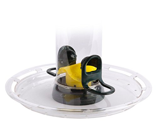 Jacobi Jayne Big Easy - Bandeja, Transparente Cover