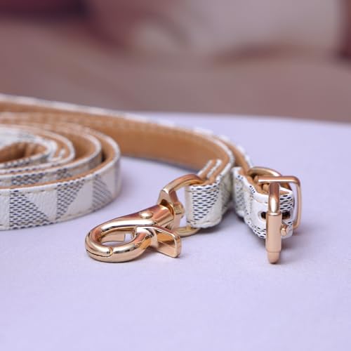 Viwind Hundehalsband Leder Verstellbares Leine Set 1.5/2cm Weiches Leder Geeignet für Katzen und Hunde (Weiß -Leine, 2cm-120cm)