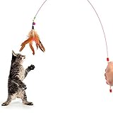 Topbeu Fun Pet Cat Toy Steel Wire Feather Training Teaser Wand