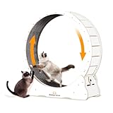 Homegroove XXL Katzenlaufrad, 52'/132 cm großes Katzenrad, Massivholz-Laufband für Katzen mit integrierter Sicherheitsverriegelung, wirbelsäulenschonendes Design für große Hauskatzen(Weiß, XXL)