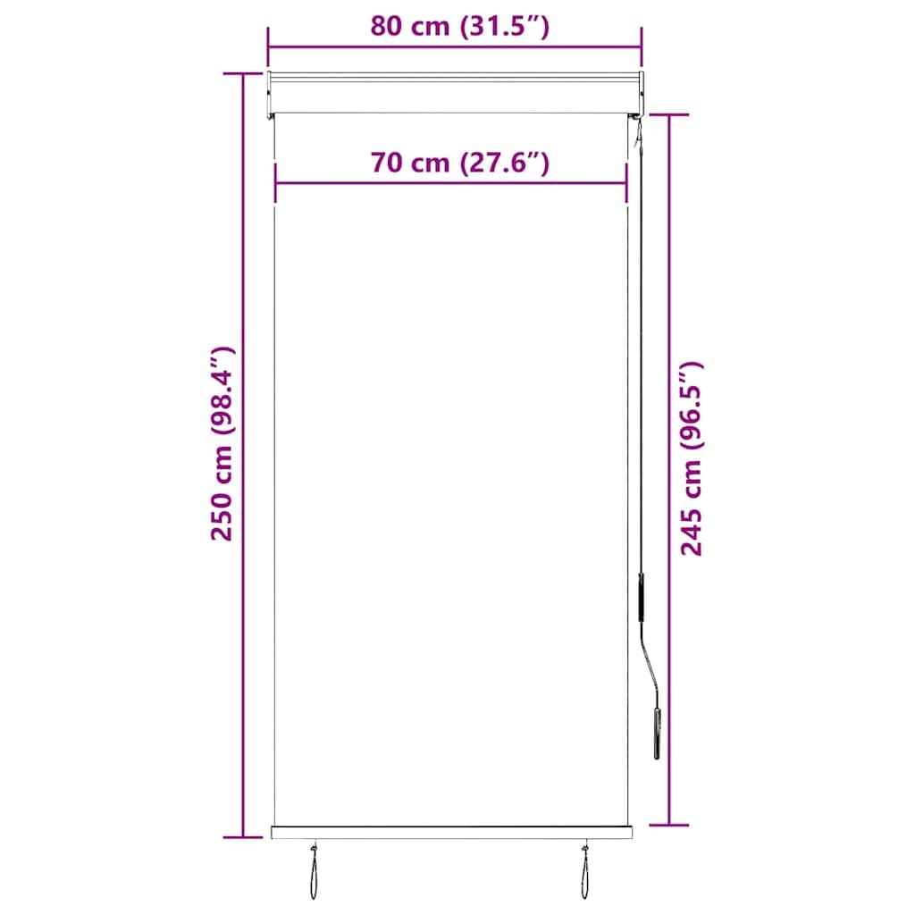 Store Roulant d'extérieur crème 80 x 250 cm en Polyester avec revêtement PA, manivelle 1,21 m, Protection Solaire pour Balcon, terrasse, Jardin, intimité et Confort