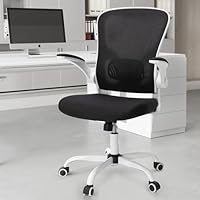 EBELLO Office Chair Ergonomic with Lumbar Support, Desk Chair with Flip-up Armrest and Height Adjustable, 360° Rotation, Mesh Swivel Chair for Home Office, Study or Manager Work, Black