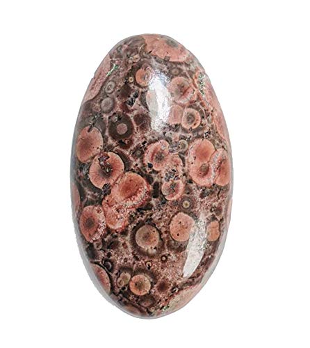 Natural Bird Eye Cabochon,Oval Shape Designer Eye Bird Agate Loose Gemstone,Jewelry Making Eye Bird Gemstone,Size 28X16X5Mm #TOP1