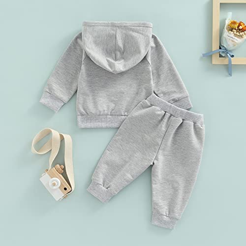 Sprifallbaby Baby Boy Sweatsuit Outfits Solid Color Hoodie Sweatshirt Sweatpants Toddler Infant Spring Fall Clothes Set (All Grey, 2-3 Years)