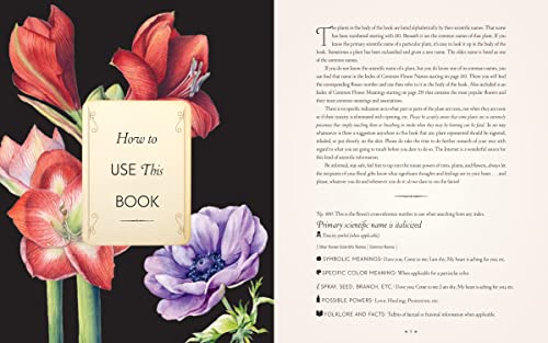 The Complete Language of Flowers: A Definitive and Illustrated History - Pocket Edition (Complete Illustrated Encyclopedia) - Image 3