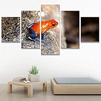 SIGNWIN 5 Panel Canvas Wall Art Amphibians Closeup Decorative Elements Frog Hallway Impressionism Multicolor for Home Decorations Ready to Hang - 60