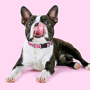BiPawTi-Pink-Floral-Dog-Collar-for-Girls-Cute-Flower-Dog-Collar-for-Female-Dogs-Dog-Collar-for-Small-Medium-Large-Dogs-XS-Pink - Cucciolini Doodles BiPawTi-Pink-Floral-Dog-Collar-for-Girls-Cute-Flower-Dog-Collar-for-Female-Dogs-Dog-Collar-for-Small-Medium-Large-Dogs-XS-Pink