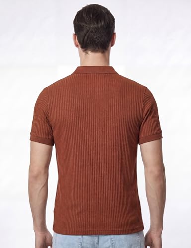 Image of DAMENSCH Men Striped Texture, Cotton-Rich Comfort, Easy Regular fit, Solid Colours Striped Polos