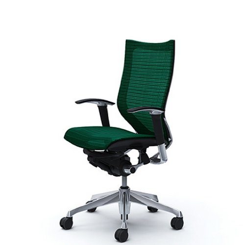 バロン (Baron) チェア 【ハイバック】 ポリッシュフレーム 可動肘 座メッシュ ダークグリ-ン CP85AR FEH5