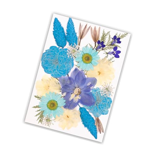 yanwuwa Juego de flores secas para moldes de resina natural prensada y hojas para manualidades, álbumes de recortes, joyería, suministros de arte secos