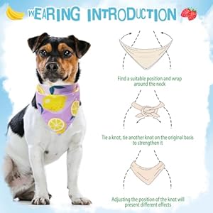 PUPTECK Summer Dog Bandana 4pcs Outfit - Fruit Soft Costume Pet Triangle Bibs Scarf, Pet Accessories Gifts for Small Medium Large Dog Cat Boy Girl Spring PUPTECK Summer Dog Bandana 4pcs Outfit Fruit Soft Costume Pet Triangle Bibs Scarf Pet Accessories Gifts for Small Medium Large Dog Cat Boy Girl Spring